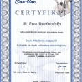 Powiększ obraz: certificate 3