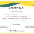 Powiększ obraz: certificate 5