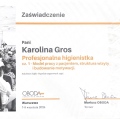 Powiększ obraz: certificate 1