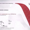 Powiększ obraz: certificate 7