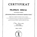 Powiększ obraz: certificate 2