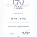 Powiększ obraz: certificate 17