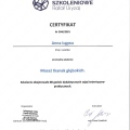Powiększ obraz: certificate 3