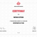 Powiększ obraz: certificate 4