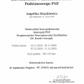 Powiększ obraz: certificate 2