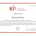 Powiększ obraz: certificate 4