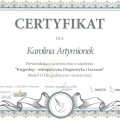Powiększ obraz: certificate 15