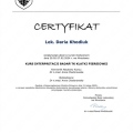 Powiększ obraz: certificate 1