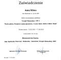 Powiększ obraz: certificate 2