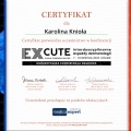 Powiększ obraz: certificate 5