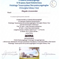 Powiększ obraz: certificate 13