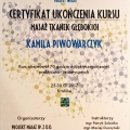 Powiększ obraz: certificate 13