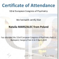 Powiększ obraz: certificate 4