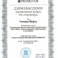 Powiększ obraz: certificate 22