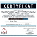 Powiększ obraz: certificate 4