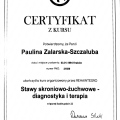 Powiększ obraz: certificate 8