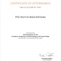 Powiększ obraz: certificate 8