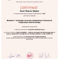 Powiększ obraz: certificate 16