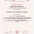 Powiększ obraz: certificate 12