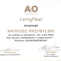 Powiększ obraz: certificate 1