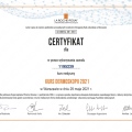 Powiększ obraz: certificate 2
