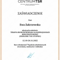 Powiększ obraz: certificate 4