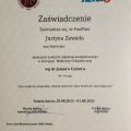 Powiększ obraz: certificate 11