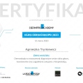 Powiększ obraz: certificate 21