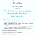 Powiększ obraz: certificate 1