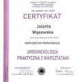 Powiększ obraz: certificate 4