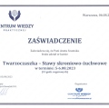 Powiększ obraz: certificate 16