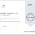 Powiększ obraz: certificate 9
