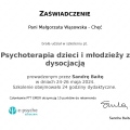 Powiększ obraz: certificate 87