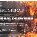 Powiększ obraz: certificate 6