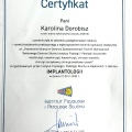 Powiększ obraz: certificate 11