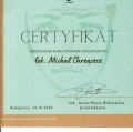 Powiększ obraz: certificate 38
