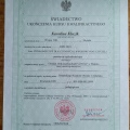 Powiększ obraz: certificate 3
