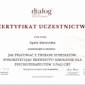 Powiększ obraz: certificate 29