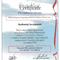 Powiększ obraz: certificate 10