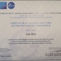 Powiększ obraz: certificate 10