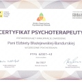 Powiększ obraz: certificate 1