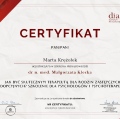 Powiększ obraz: certificate 11
