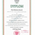 Powiększ obraz: certificate 3