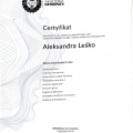 Powiększ obraz: certificate 13