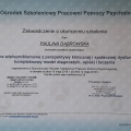 Powiększ obraz: certificate 8