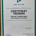 Powiększ obraz: certificate 11