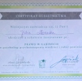 Powiększ obraz: certificate 4