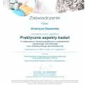 Powiększ obraz: certificate 11