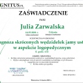 Powiększ obraz: certificate 3