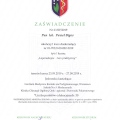 Powiększ obraz: certificate 6